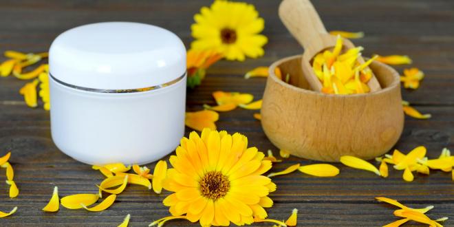 Herbal calendula cream on wooden background