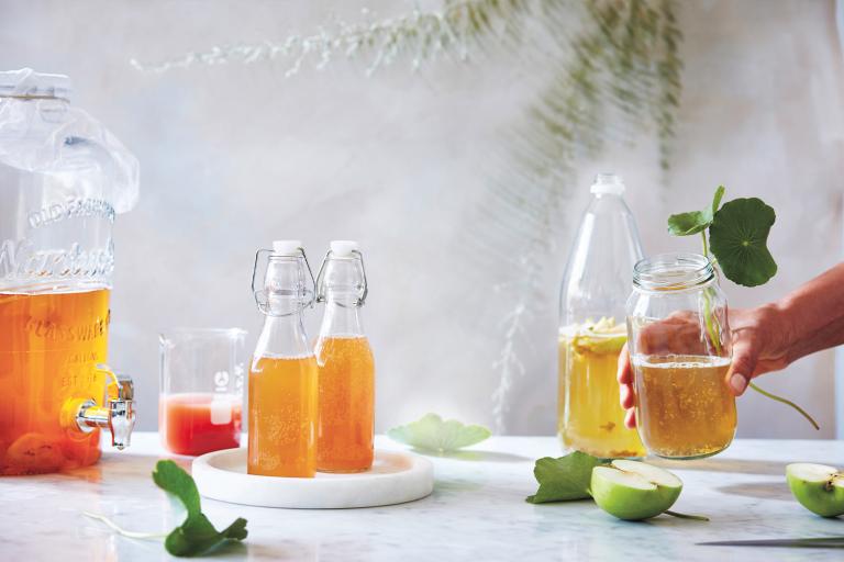 Varying stages of the kombucha brewing process. From fermentation, bottling and ready to drink.